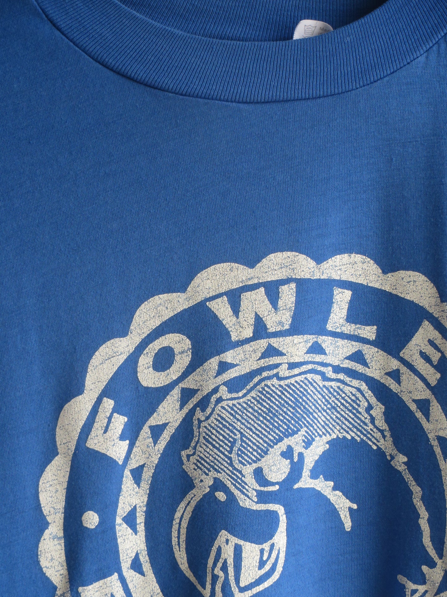 Fowler Falcons Single Stitch Tee